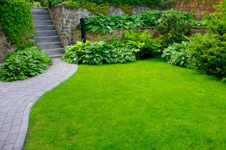 Signs Your Lawn Is Begging for Professional Care