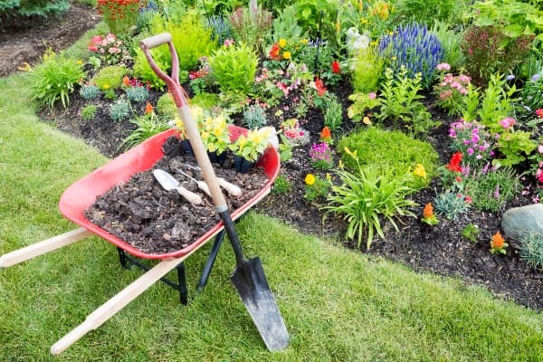 Lawn Care Maintenance