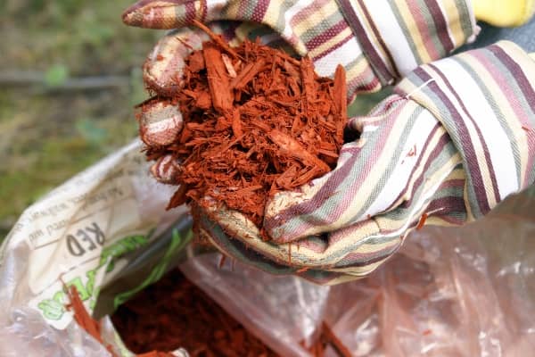 Mulching Services